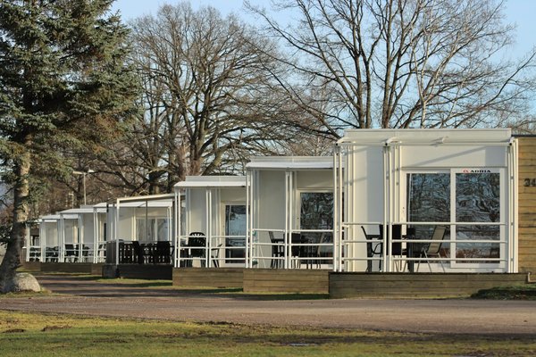 Découvrez les bienfaits revitalisants du bain de forêt